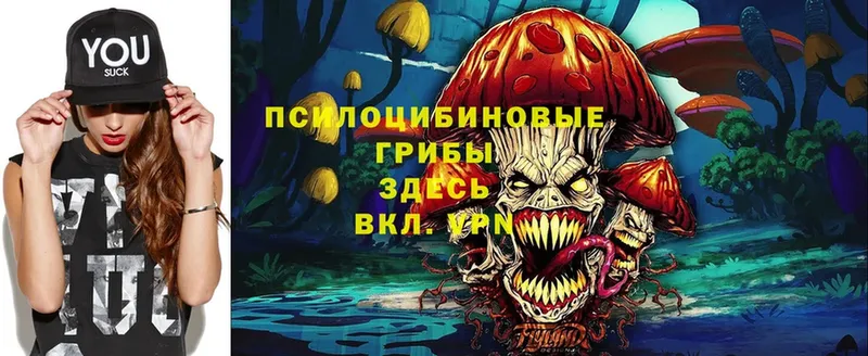 наркошоп  Фролово  Псилоцибиновые грибы Magic Shrooms 